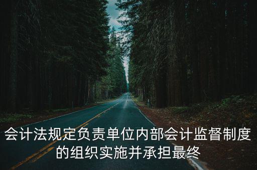 會計法全文，會計法的表述