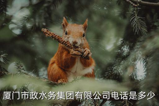 廈門市政水務集團有限公司電話是多少
