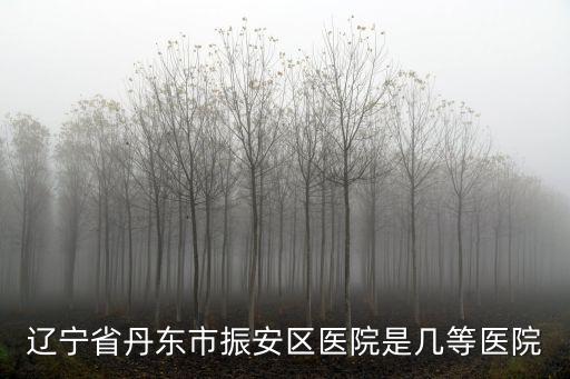 遼寧省丹東市振安區醫院是幾等醫院