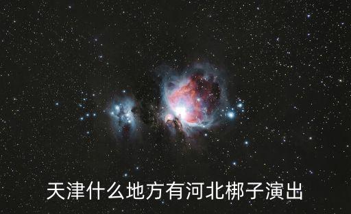 天津什么地方有河北梆子演出