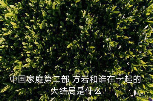 中國(guó)家庭第二部 方巖和誰(shuí)在一起的 大結(jié)局是什么
