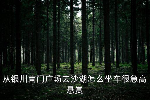 南門廣場，銀川南門廣場屬于哪個派出所管