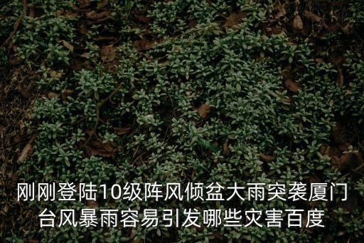 剛剛登陸10級陣風傾盆大雨突襲廈門臺風暴雨容易引發哪些災害百度