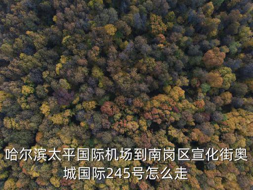 哈爾濱太平國際機場到南崗區宣化街奧城國際245號怎么走