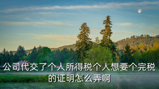 公司代交了個人所得稅個人想要個完稅的證明怎么弄啊