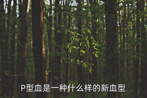 p型血，什么是P型血介紹下和ABO并列