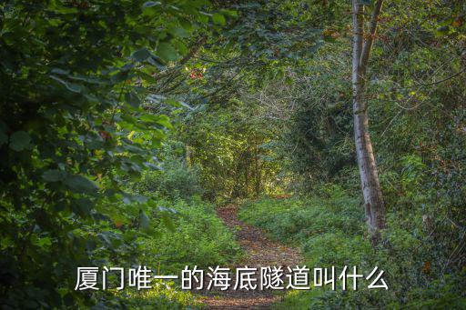 廈門唯一的海底隧道叫什么