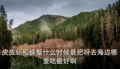 皮皮蝦和螃蟹什么時候最肥呀去海邊哪里吃最好啊