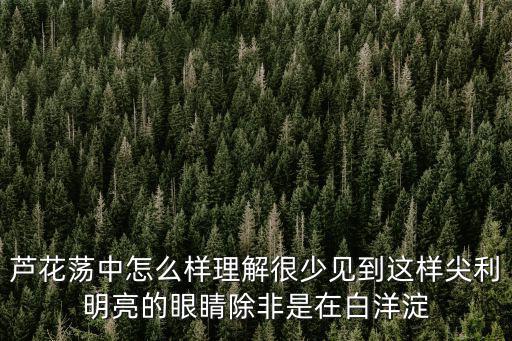蘆花蕩中怎么樣理解很少見到這樣尖利明亮的眼睛除非是在白洋淀