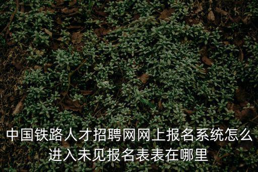 中國鐵路人才招聘網(wǎng)網(wǎng)上報名系統(tǒng)怎么進(jìn)入未見報名表表在哪里