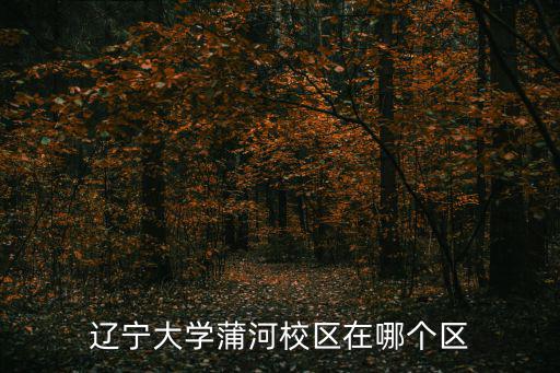 遼寧大學蒲河校區在哪個區