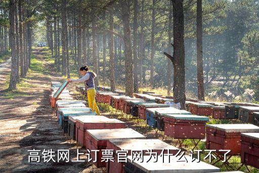 高鐵網上訂票官網為什么訂不了