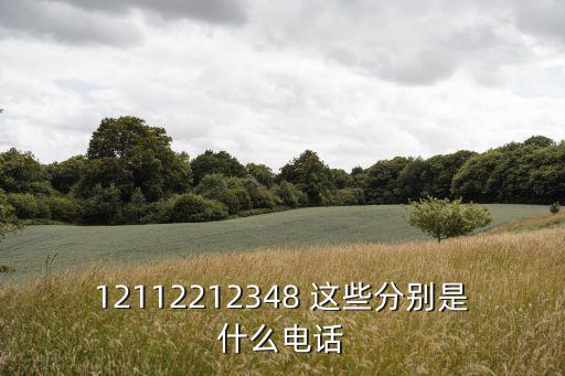 12112212348 這些分別是什么電話