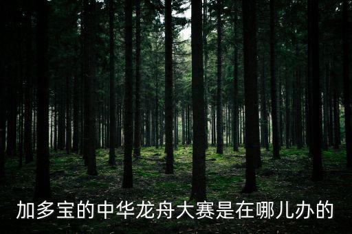 加多寶的中華龍舟大賽是在哪兒辦的