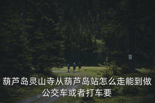 葫蘆島靈山寺從葫蘆島站怎么走能到做公交車或者打車要