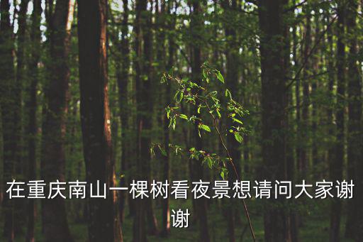 在重慶南山一棵樹看夜景想請問大家謝謝