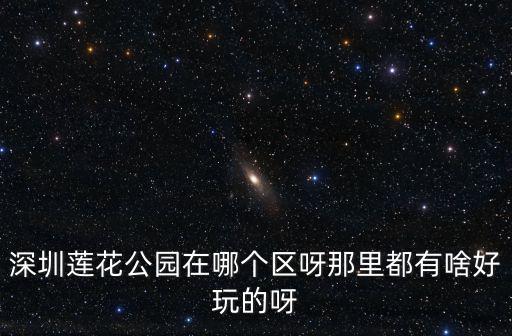 深圳蓮花公園在哪個區(qū)呀那里都有啥好玩的呀