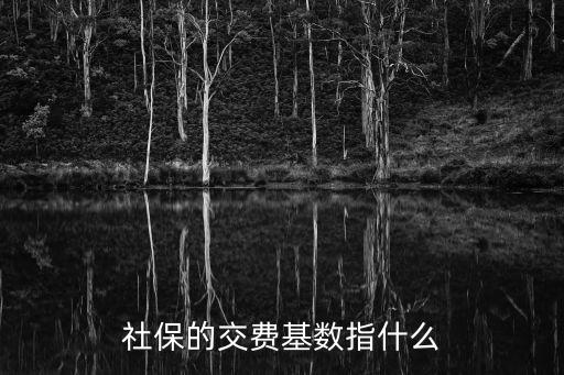社保的交費(fèi)基數(shù)指什么