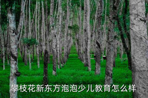攀枝花新東方泡泡少兒教育怎么樣