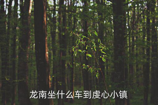 龍南坐什么車到虔心小鎮