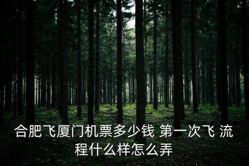 合肥飛廈門機(jī)票多少錢 第一次飛 流程什么樣怎么弄