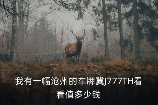 滄州車牌，我有一幅滄州的車牌冀J777TH看看值多少錢