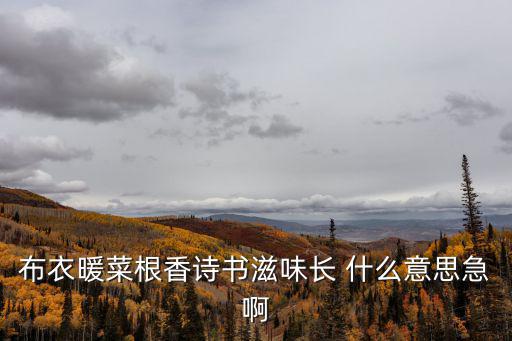 布衣暖菜根香詩書滋味長 什么意思急啊