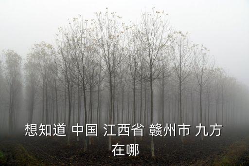 贛州九方，贛州九方