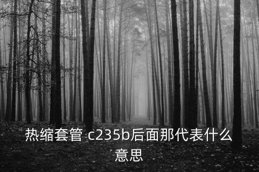 熱縮套管 c235b后面那代表什么意思