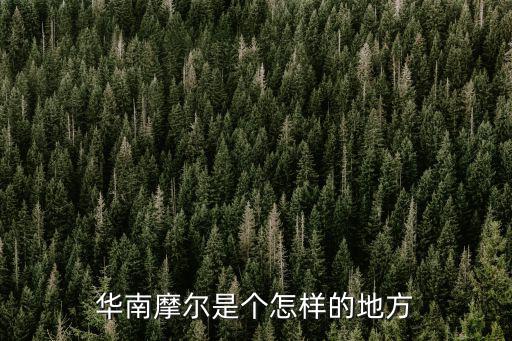 華南摩爾，華南摩爾是個怎樣的地方