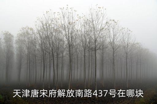 天津唐宋府解放南路437號在哪塊