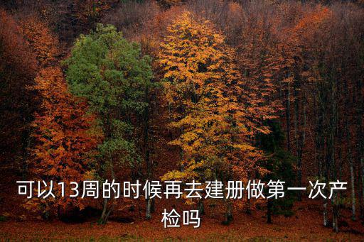 為什么13周不讓建卡了，可以13周的時候再去建冊做第一次產檢嗎