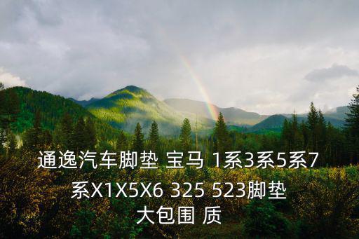 通逸汽車腳墊 寶馬 1系3系5系7系X1X5X6 325 523腳墊大包圍 質
