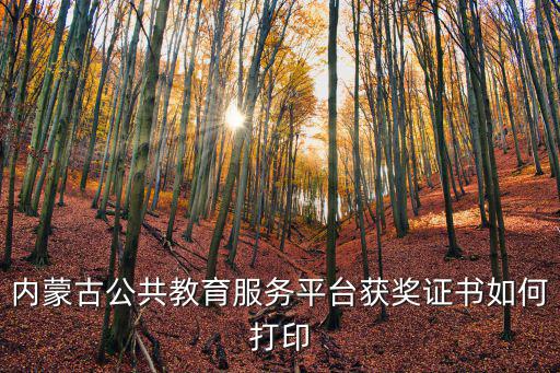 內蒙古公共教育服務平臺獲獎證書如何打印
