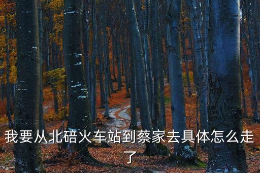 我要從北碚火車站到蔡家去具體怎么走了