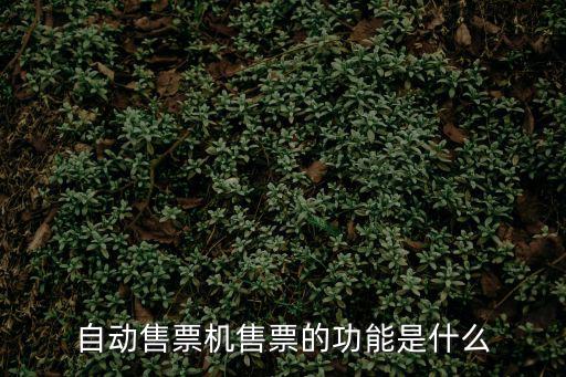 自動售票機售票的功能是什么