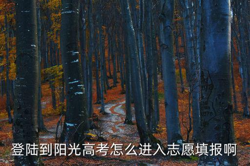 登陸到陽光高考怎么進入志愿填報啊