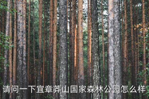 請問一下宜章莽山國家森林公園怎么樣