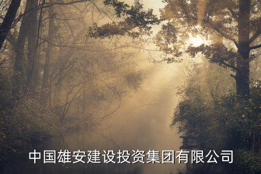 中國雄安建設投資集團有限公司