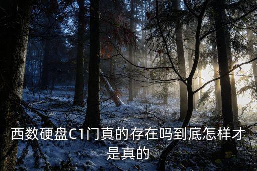 西數硬盤C1門真的存在嗎到底怎樣才是真的