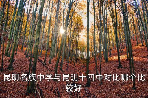 昆明名族中學與昆明十四中對比哪個比較好