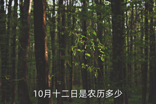 10月十二日是農(nóng)歷多少