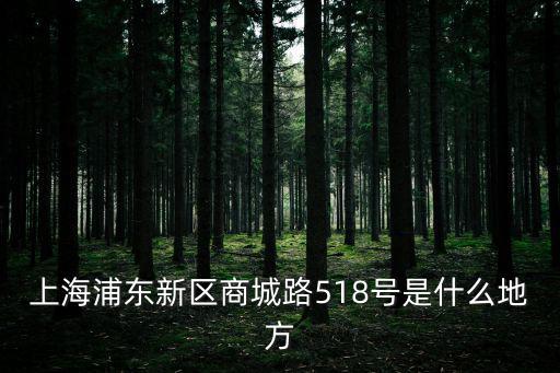 上海浦東新區(qū)商城路518號(hào)是什么地方
