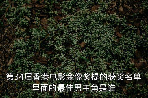 第34屆香港電影金像獎提的獲獎名單里面的最佳男主角是誰