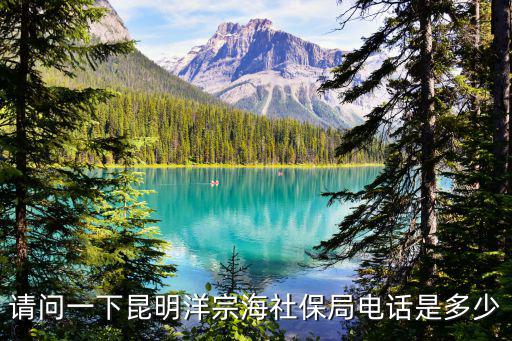 請(qǐng)問(wèn)一下昆明洋宗海社保局電話是多少