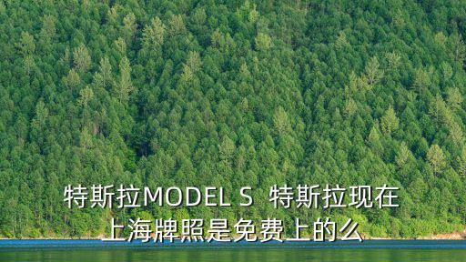 特斯拉MODEL S  特斯拉現在上海牌照是免費上的么