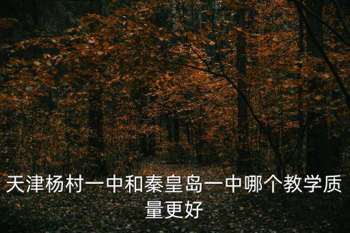 天津楊村一中和秦皇島一中哪個(gè)教學(xué)質(zhì)量更好