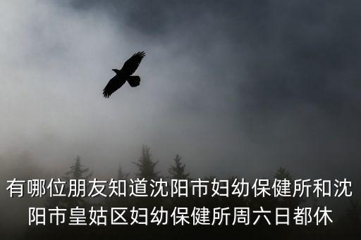 有哪位朋友知道沈陽市婦幼保健所和沈陽市皇姑區婦幼保健所周六日都休