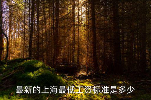 上海市最低工資標準，最新的上海最低工資標準是多少