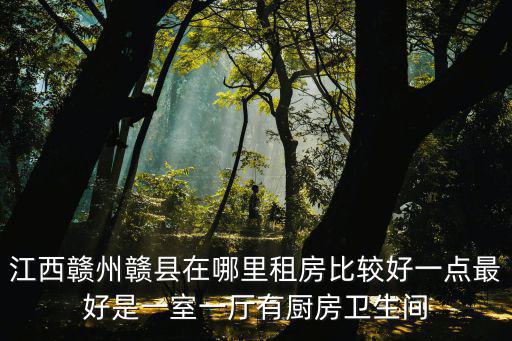 江西贛州贛縣在哪里租房比較好一點最好是一室一廳有廚房衛生間